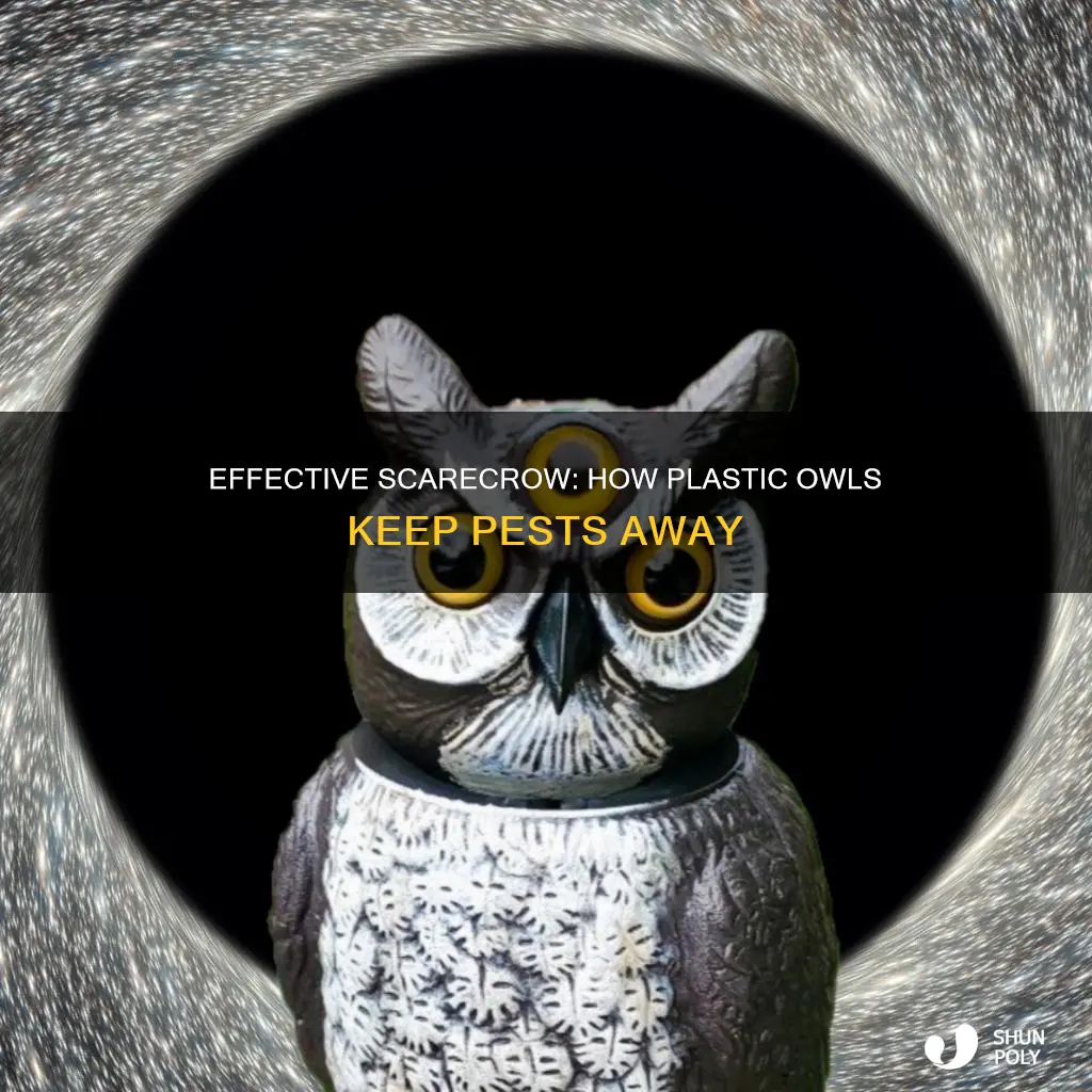 what do plastic owls keep away