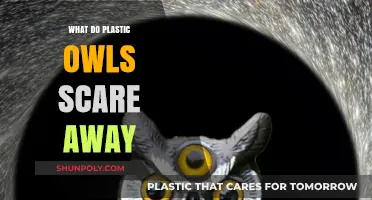 Effective Scarecrow: Do Plastic Owls Really Scare Pests Away?
