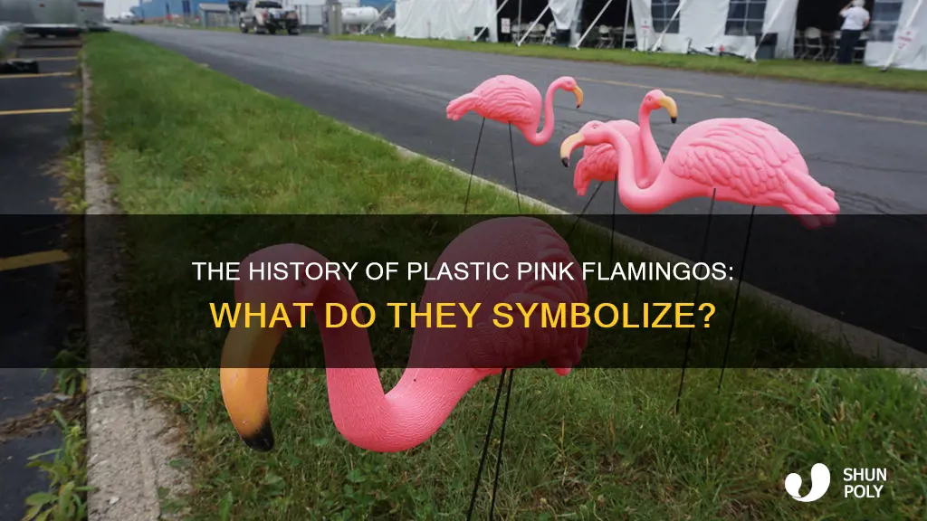 what do plastic pink flamingos mean