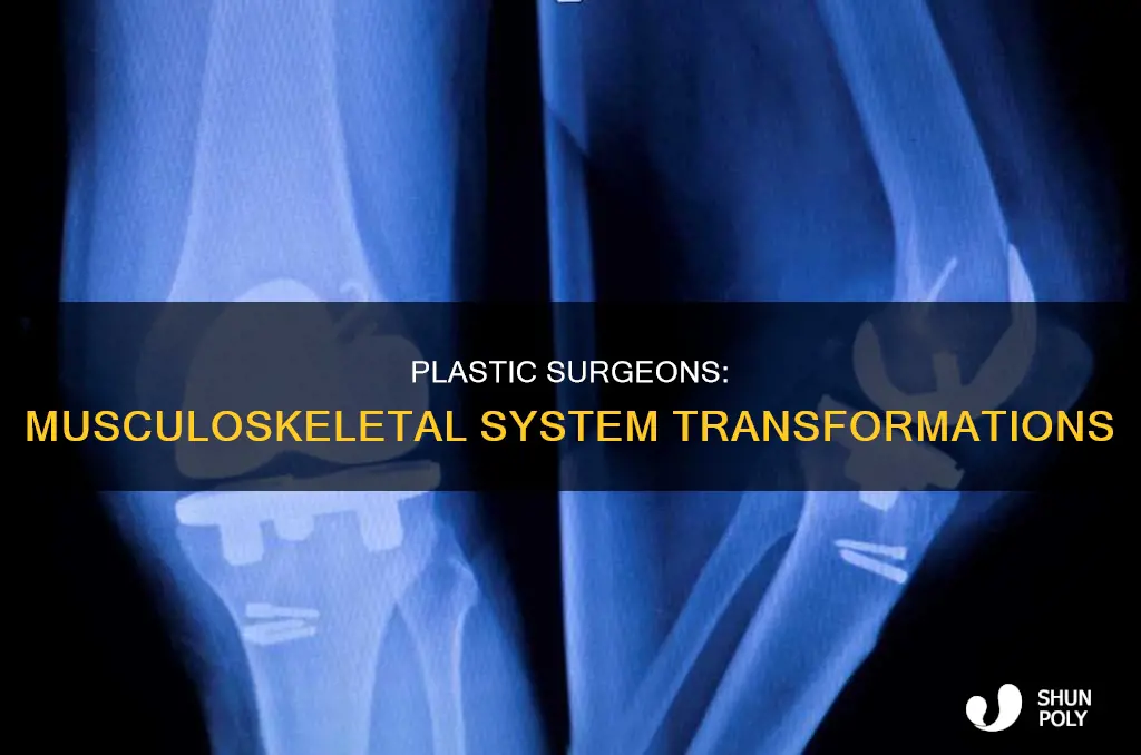 what do plastic surgeonds do with musculoskeletal