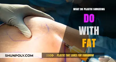 What Plastic Surgeons Do with Fat: Uses and Procedures