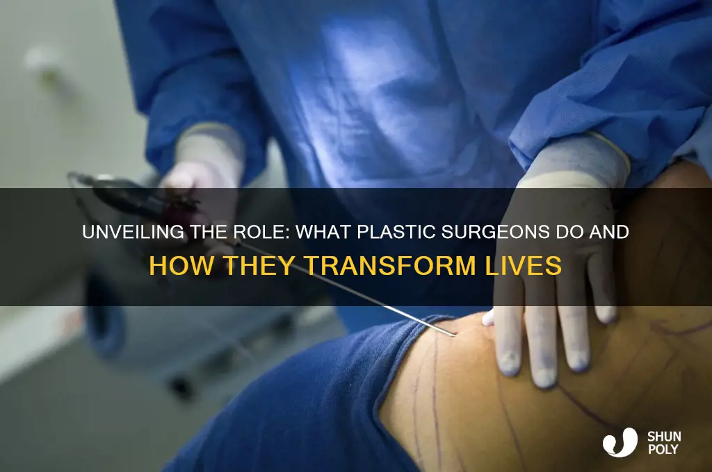 what do plastic surgeons do