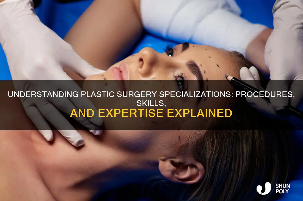 what do plastic surgeons specialize in