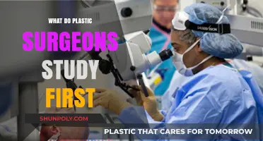 Understanding the Core Curriculum: What Plastic Surgeons Study First