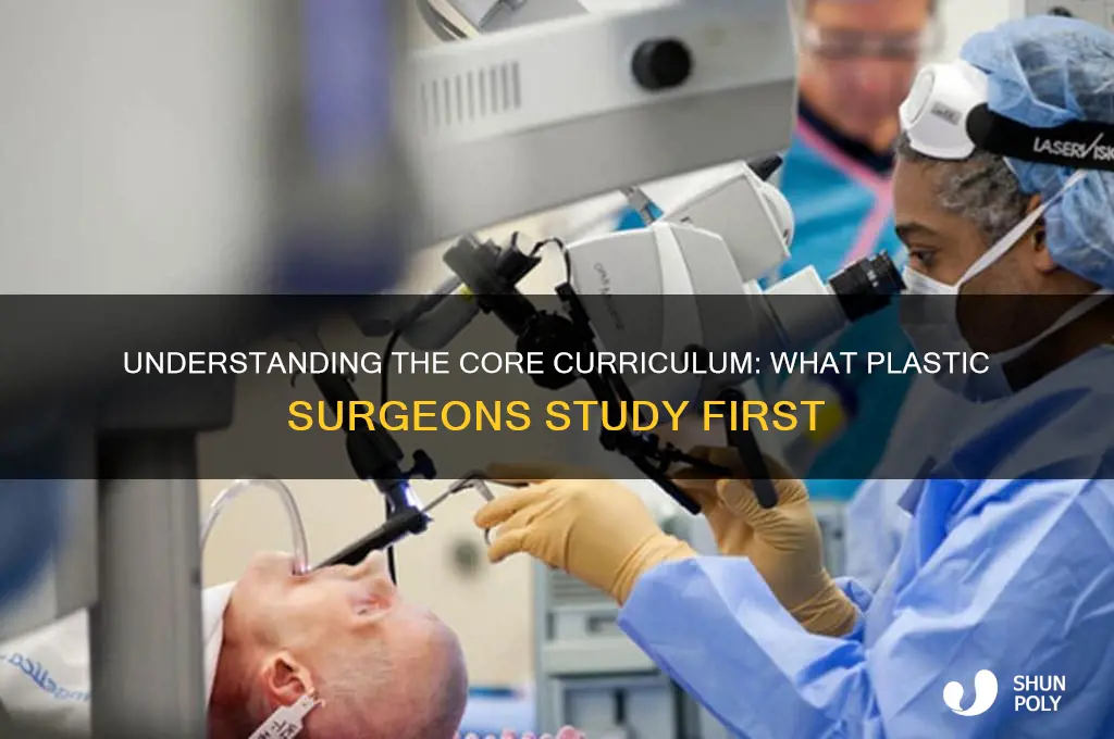 what do plastic surgeons study first
