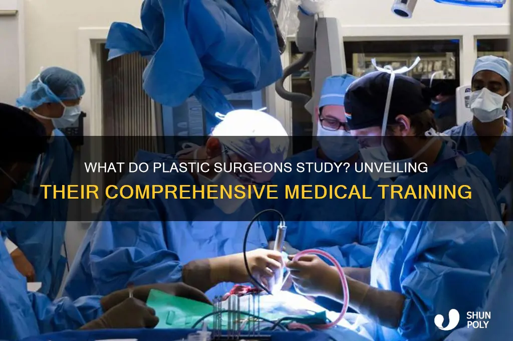 what do plastic surgeons study