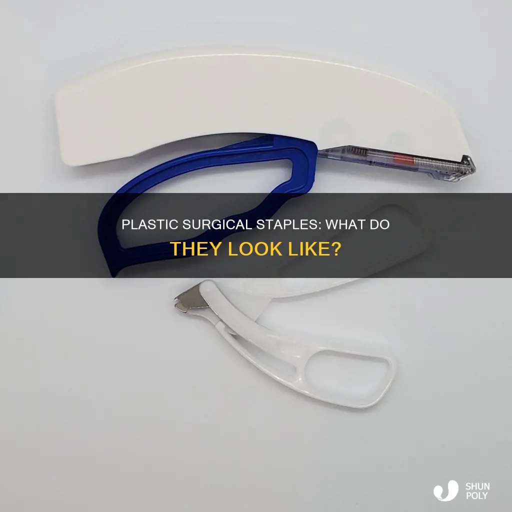 what do plastic surgical staples look like