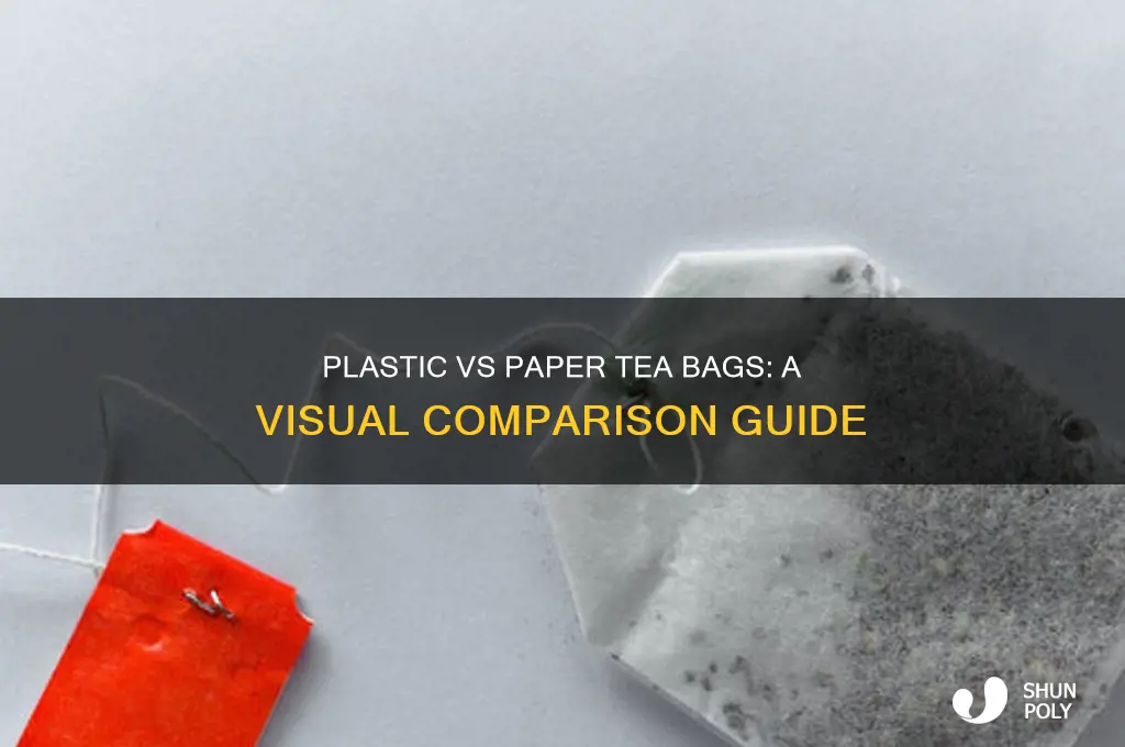 what do plastic vs paper tea bags look like