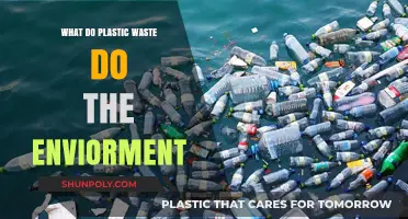 Plastic Waste: Environmental Impact and Solutions