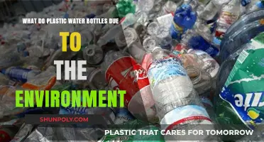 The Environmental Impact of Plastic Water Bottles: Harmful Effects Explained