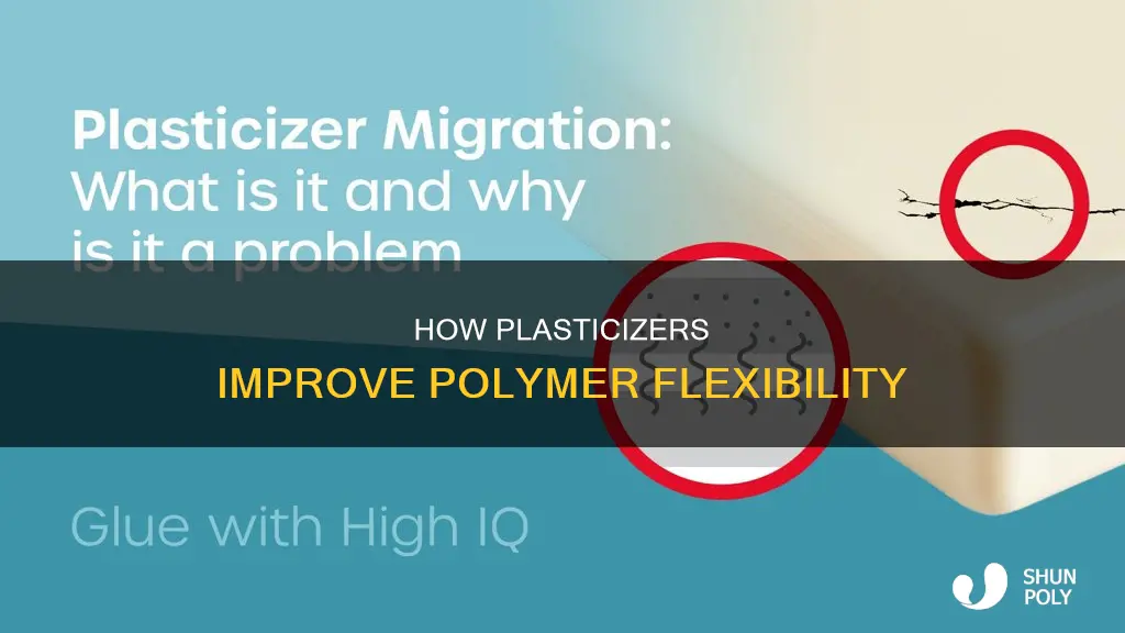 what do plasticizers do to polymers