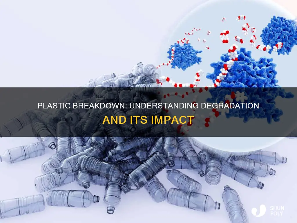 what do plastics break down into