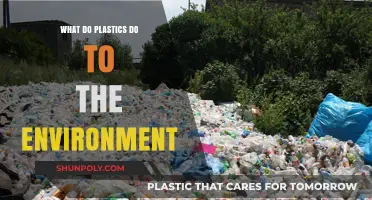 Plastic Pollution: Harming Our Planet, Hurting Our Future