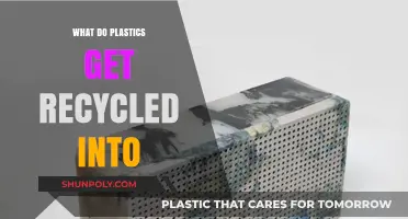 From Waste to Worth: Discovering Plastics' Surprising Second Lives