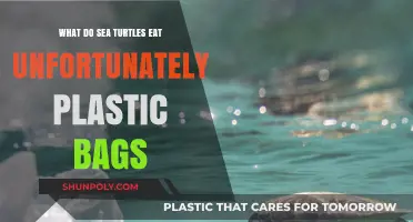 Sea Turtles' Diet Crisis: Mistaking Plastic Bags for Food