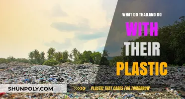 Thailand's Plastic Problem: Innovative Solutions and Challenges