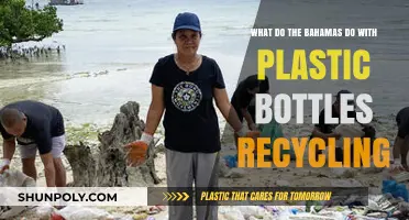 Bahamas' Plastic Bottle Recycling: Sustainable Solutions for a Greener Future