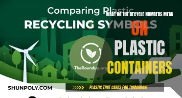 Cracking the Code: Decoding Plastic Recycling Symbols