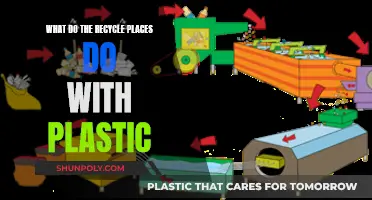 How Plastic Recycling Centers Process Your Waste
