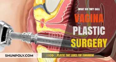 Understanding Vaginal Rejuvenation: What They Call Vagina Plastic Surgery