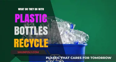 Recycling Plastic Bottles: Transforming Waste into Sustainable Solutions and Products