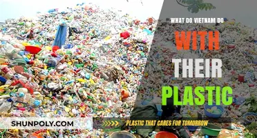 Vietnam's Plastic Problem: Solutions and Innovations