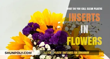 Clear Plastic Flower Inserts: Their Name and Purpose Explained