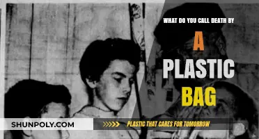 Silent Suffocation: Understanding Death by Plastic Bag Asphyxiation
