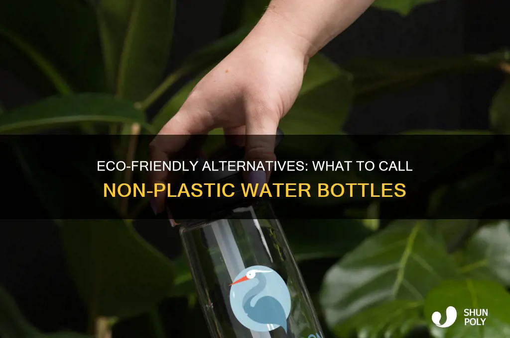 what do you call water bottles that aren