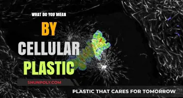 Plastic's Cellular Evolution: Understanding the Science