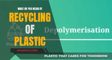 The Green Revolution: Understanding Plastic Recycling