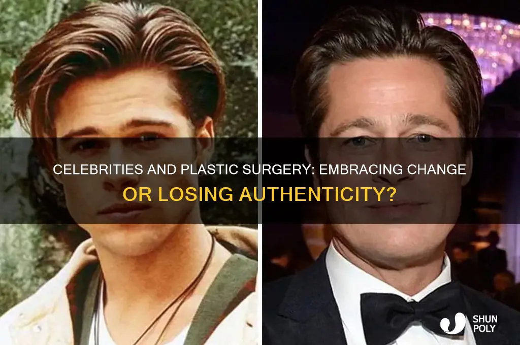 what do you think of celebrities who get plastic surgery