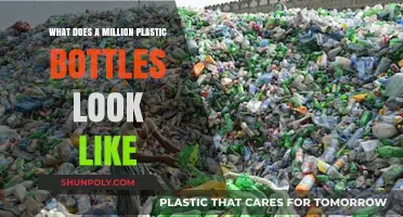 Visualizing a Million Plastic Bottles: Scale, Impact, and Solutions