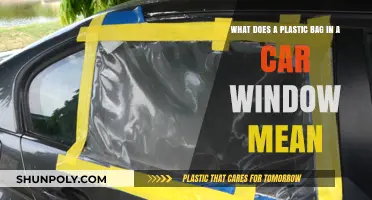 Plastic Bag in Car Window: Decoding the Hidden Meaning and Purpose