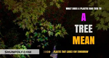 Unraveling the Mystery: What Does a Plastic Bag Tied to a Tree Symbolize?