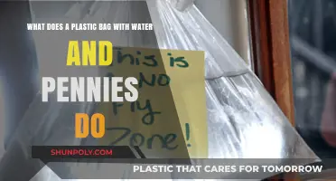 Plastic Bag Water Penny Hack: Repelling Flies and Mosquitoes Naturally