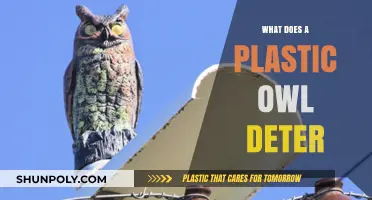 Plastic Owl Power: Deterring Unwanted Visitors