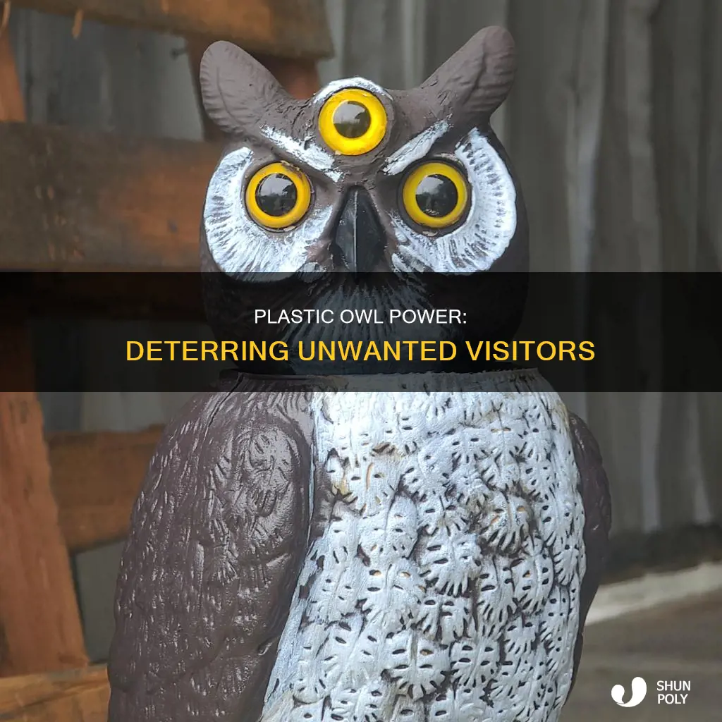 what does a plastic owl deter