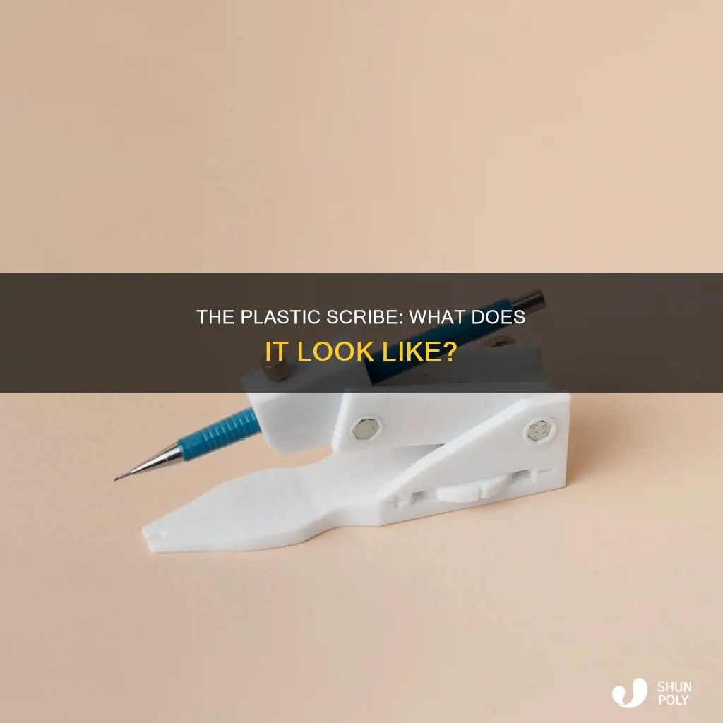 what does a plastic scribe look like