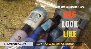 Visual Guide: Understanding the Appearance of a Quart-Size Plastic Bag