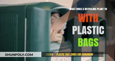 How Recycling Plants Handle Plastic Bags: Sorting, Processing, and Reuse Explained