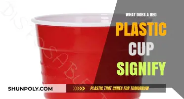 Red Plastic Cup: American Parties' Icon
