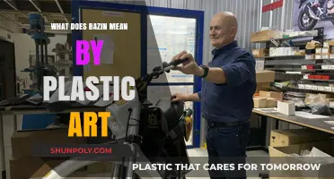 Understanding Bazin's Perspective on Plastic Art