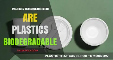 Are Plastics Biodegradable? Understanding Degradation and Its Impact