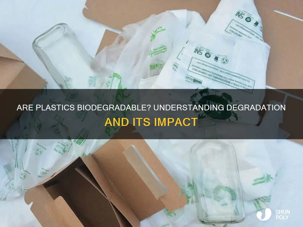 what does biodegradable mean are plastics biodegradable