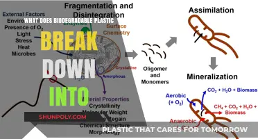 Biodegradable Plastic: What's the Breakdown?