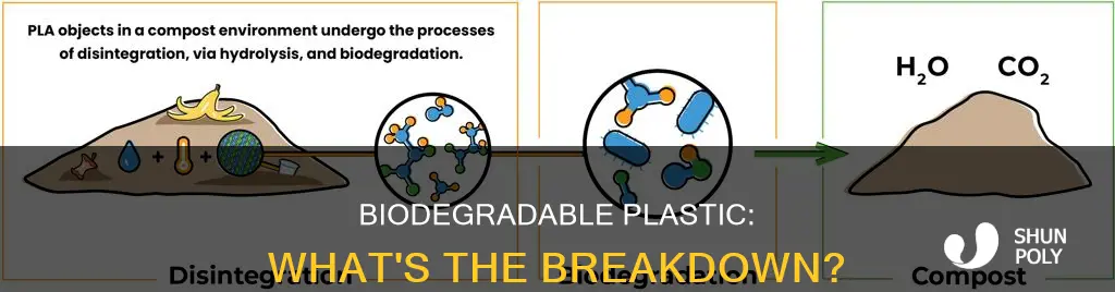 what does biodegradable plastic break down into