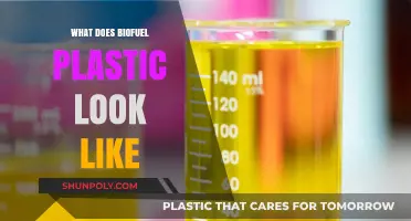 The Future of Plastic: Biofuel Power