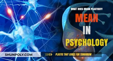 Brain Plasticity: Psychology's Revolutionary Understanding of Neuroplasticity
