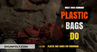 Burning Plastic Bags: Environmental Impact, Health Risks, and Safer Alternatives